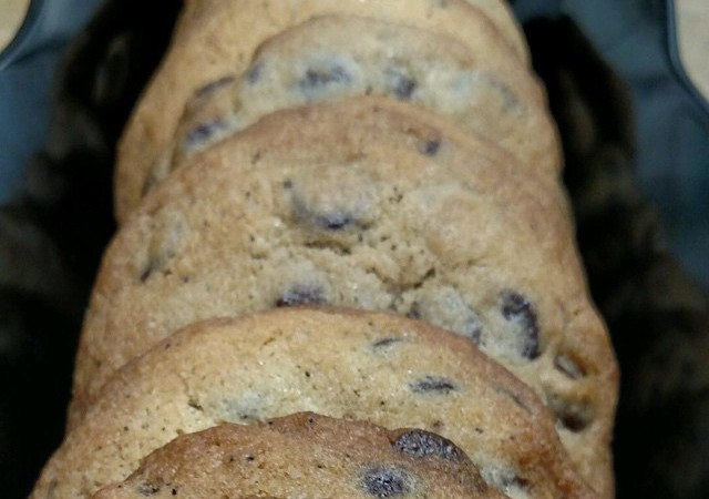 Chewy chocolate chip, fresh from the oven!