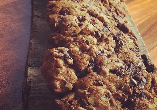 We're nutty over our Chocolate Walnut + Molasses cookie bars  try one yourself! #yaliscafe
