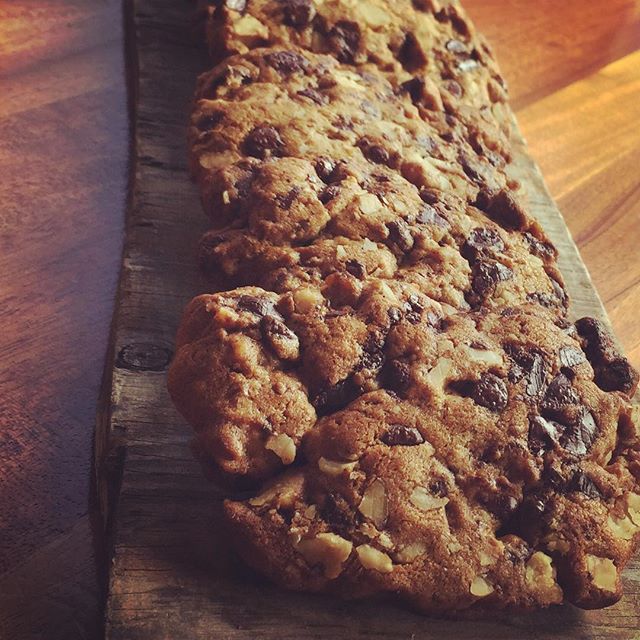 We're nutty over our Chocolate Walnut + Molasses cookie bars  try one yourself! #yaliscafe