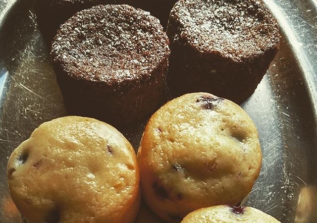Come into Yali's for two new fall-inspired pastries! Try our spiced gingerbread or blueberry + lemon cake, here for a limited time only! #yaliscafe