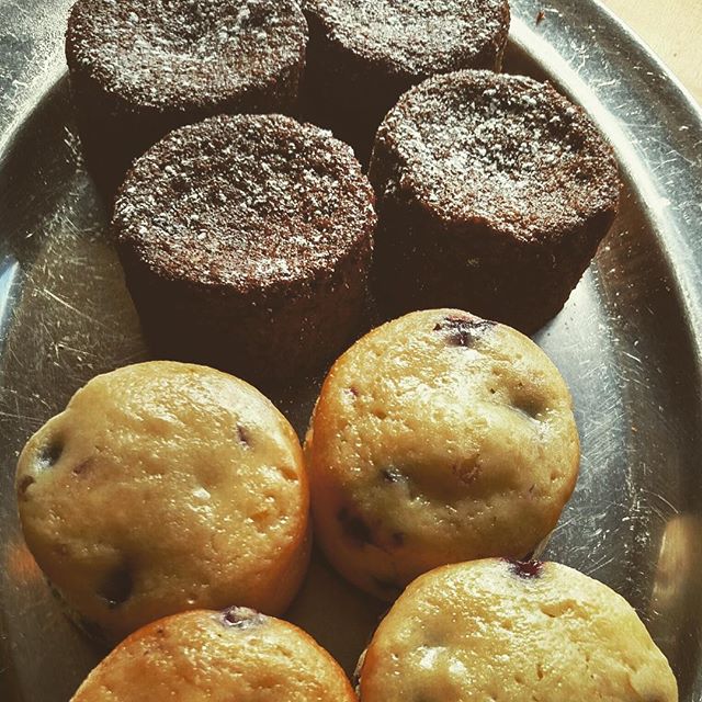 Come into Yali's for two new fall-inspired pastries! Try our spiced gingerbread or blueberry + lemon cake, here for a limited time only! #yaliscafe