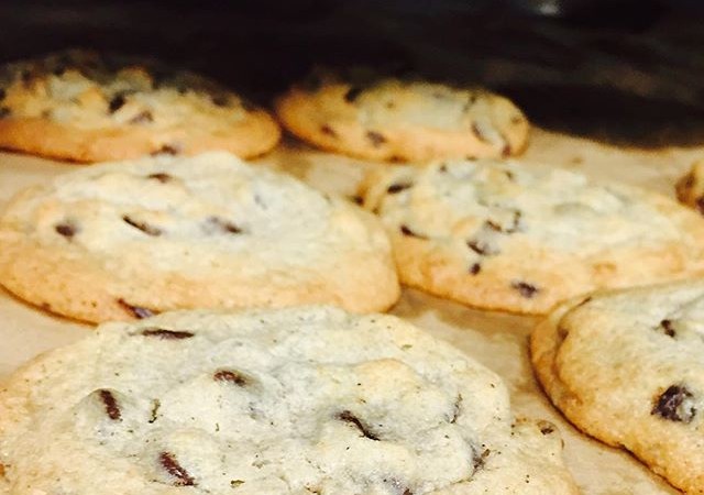Warm chocolate chip cookies fresh from the oven! Grab one quick before they're all gone, at #yaliscafe