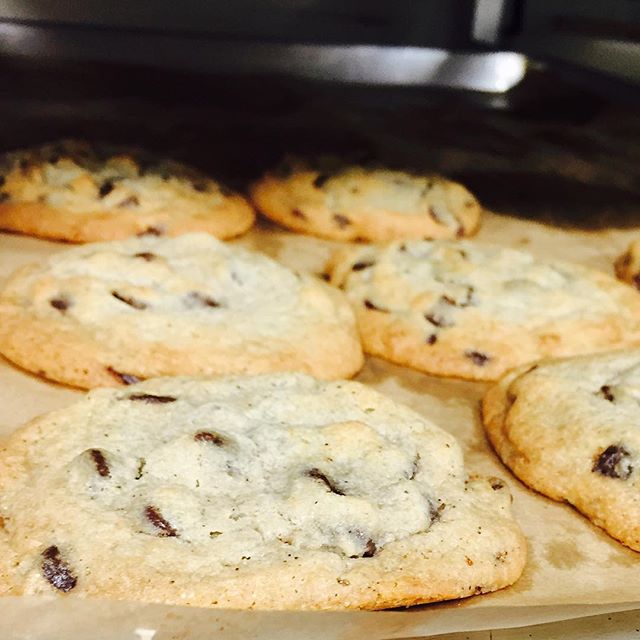 Warm chocolate chip cookies fresh from the oven! Grab one quick before they're all gone, at #yaliscafe