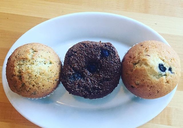 Today we received a wonderful trio of muffins – blueberry, lemon poppy, and bran + blueberry! Come try them all and pick your favorite!