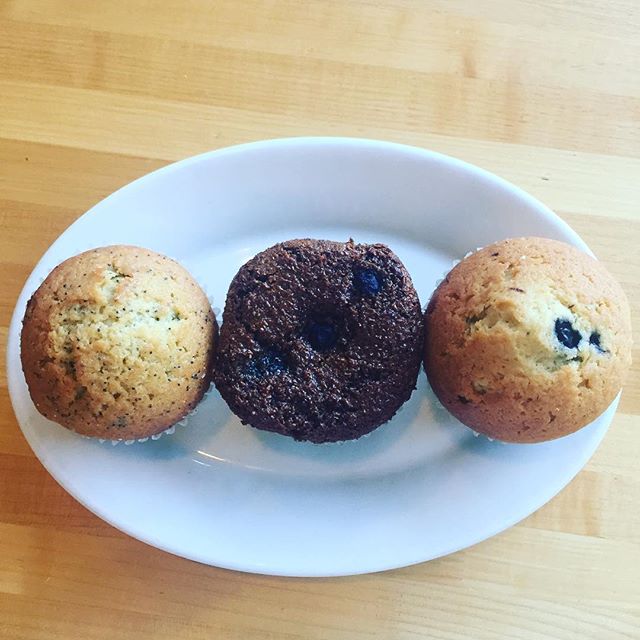 Today we received a wonderful trio of muffins - blueberry, lemon poppy, and bran + blueberry! Come try them all and pick your favorite!