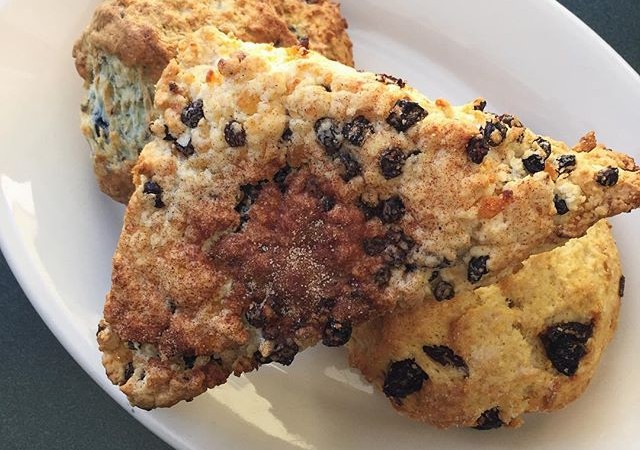 Blueberry + Apricot Currant + Cornmeal Cherry Homemade Scones